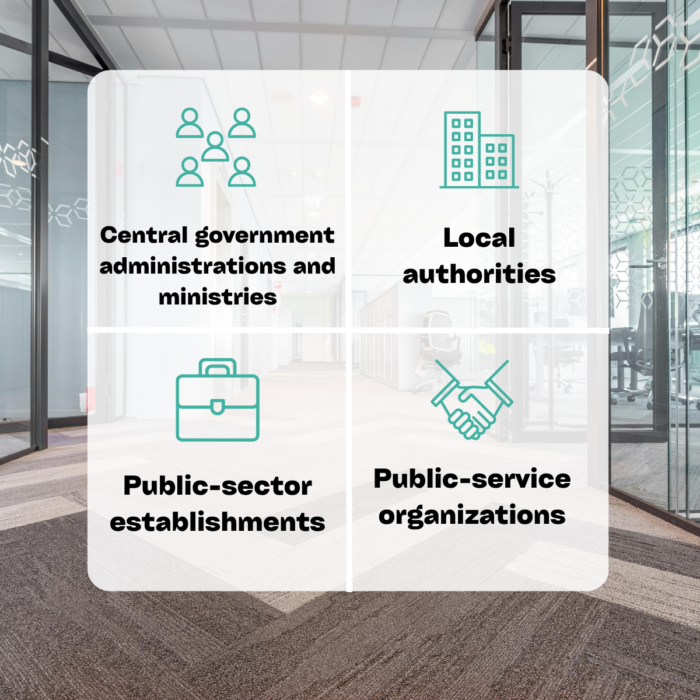 Public bodies that can digitize their online administrative procedures: central government administrations and ministries, local authorities, public-sector establishments, and public-service organizations.